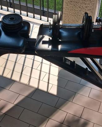 Panca da Allenamento, Regolazioni Multiple