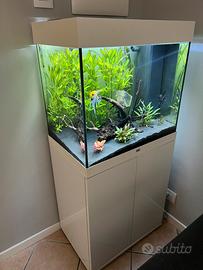 Juwel Acquario Lido 120 bianco LED