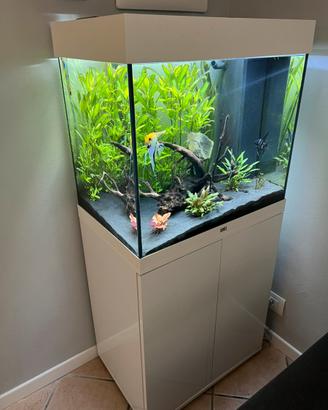 Juwel Acquario Lido 120 bianco LED