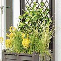 Fioriera con spalliera di colore marrone