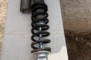 Mono ammortizzatore CRF 450