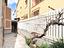 Immagine 12