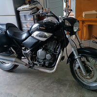 Custom Beta Euro 350