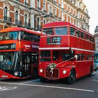 Conducente Autobus 