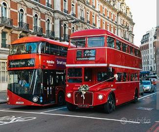 Conducente Autobus 