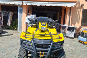 quad suzuki King