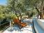Immagine 23