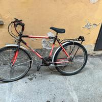 Bicicletta Mountain Bike Greenbike