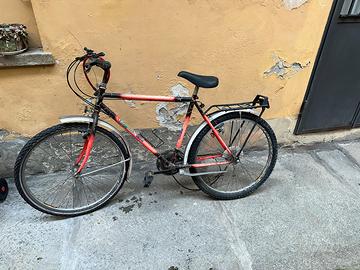 Bicicletta Mountain Bike Greenbike