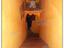 Immagine 10