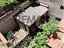 Immagine 28