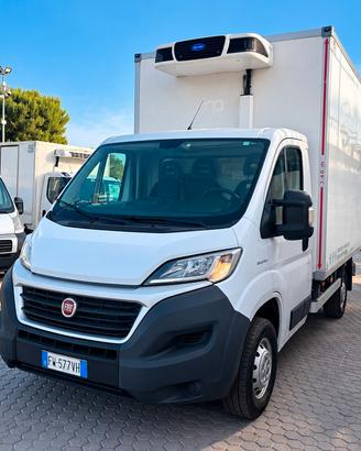 FIAT DUCATO 2.3 MJT 140 CV ISOTERMICO REFRIGERATO 