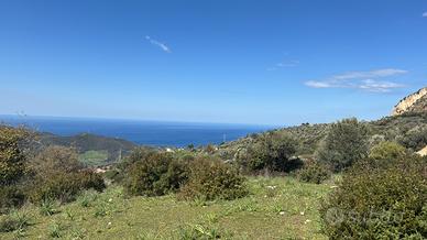 Terreno con ulivi con sorgiva e ruderi