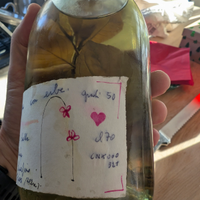 Grappa Levi alle erbe