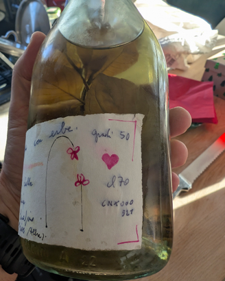 Grappa Levi alle erbe