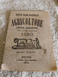 agricoltore sesto Caio baccelli 