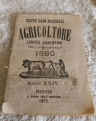 agricoltore sesto Caio baccelli 