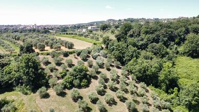 TER. AGRICOLO A FIANO ROMANO