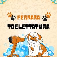 Toelettatura Animali a Ferrara