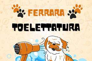 Toelettatura Animali a Ferrara