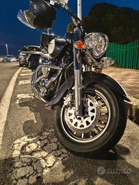 intruder 800 2014