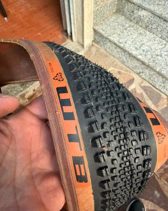 Copertoni WTB bici Gravel