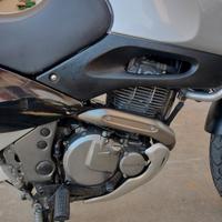 SUZUKI xf650 Freewind