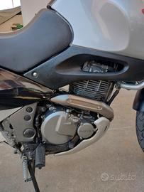 SUZUKI xf650 Freewind