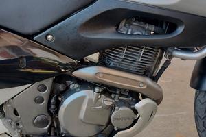 SUZUKI xf650 Freewind