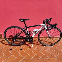 argon 18 XXS