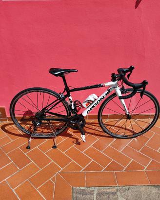argon 18 XXS
