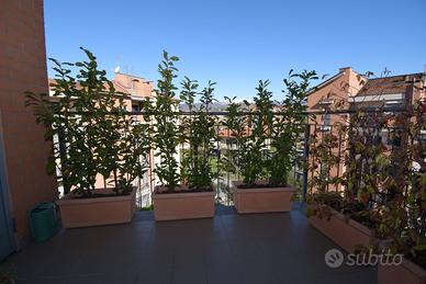 Quadrilocale 89mq + box doppio Pinerolo scuole