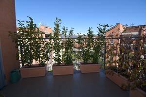 Quadrilocale 89mq + box doppio Pinerolo scuole