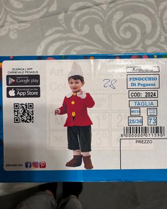 Carnevale Pinocchio