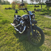 Harley Sportster Iron 883