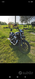 Harley Sportster Iron 883