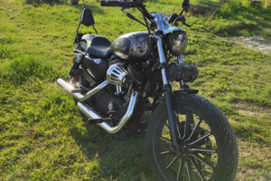 Harley Sportster Iron 883