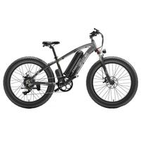 MTB FatBike Elettrica 1000 W