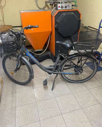 Bicicletta