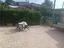 Immagine 6