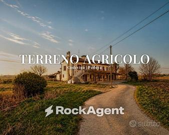 Terreno di 31284 m² a Codevigo