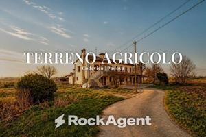 Terreno di 31284 m² a Codevigo