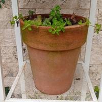 vaso terracotta 