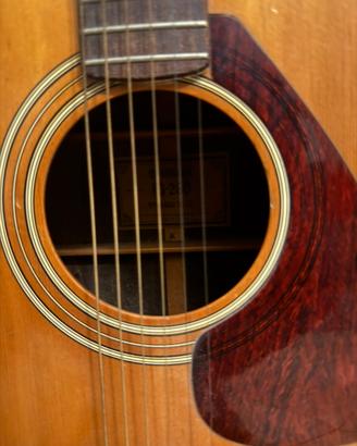 Strumenti musicali chitarra