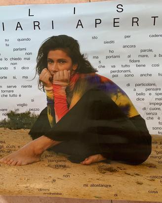 Locandina di Elisa Toffoli Diari Aperti