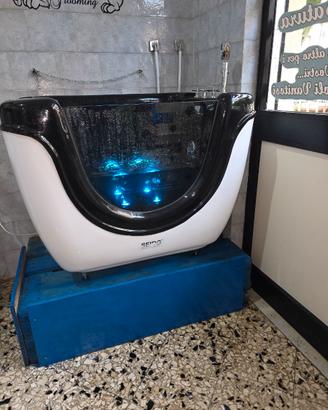 Vasca spa  ozonoterapiadog  toelettatura