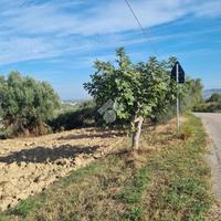 TER. RESIDENZIALE A MORRO D'ORO