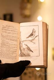 BUFFON, LIBRO 1800 STORIA NATURALE