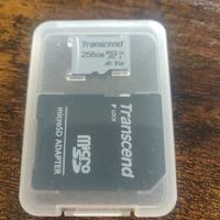 Scheda Memoria micro Transcend 256 gb