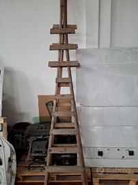 scale per raccolta olive